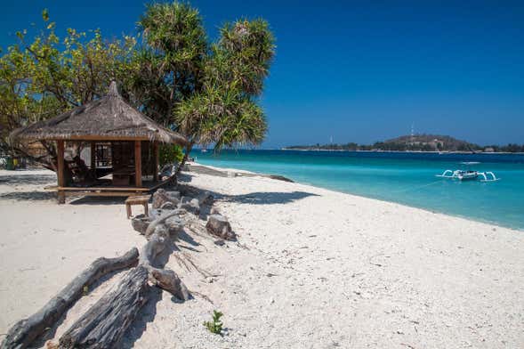 Transfer alle Isole Gili in motoscafo