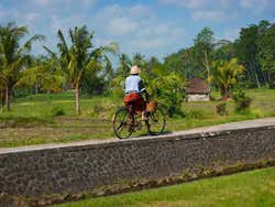 Risaie di Bali in bicicletta