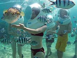 Seawalking a Bali