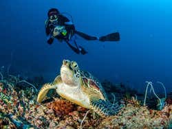Immersione alle isole Gili