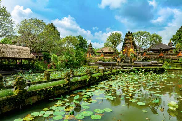 Tour di Ubud
